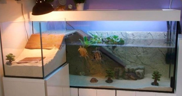 аквариум своими руками черепаха