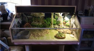Изготовление террариума для сухопутной черепахи своими руками